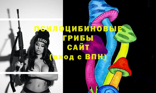 гашик Бутурлиновка