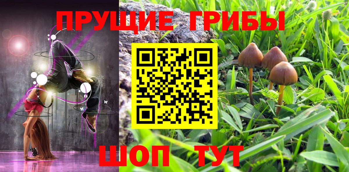 Амурск  Галлюциногенные грибы Psilocybe  Вход с VPN 
